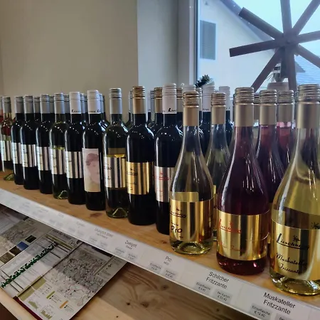 Weingut Lieschnegg 宾馆 *