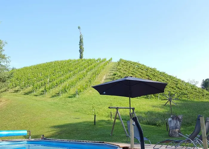 Weingut Lieschnegg Värdshus