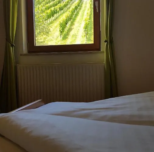 Weingut Lieschnegg 宾馆