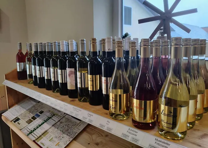 Weingut Lieschnegg 宾馆 *